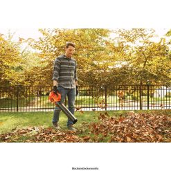 BLACK+DECKER draussen 20 V max. Laubbläser axial 2,0 Ah TL4V4L430